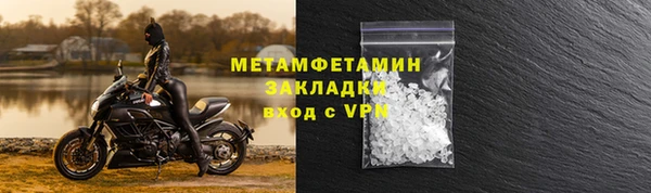 индика Костерёво