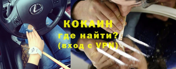 индика Костерёво