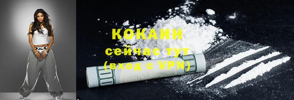 индика Костерёво