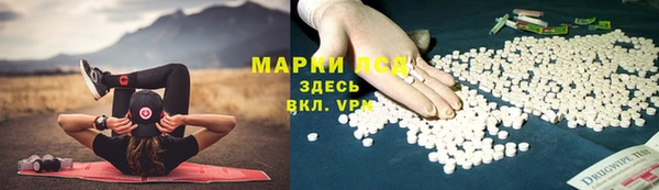 ALPHA PVP Коряжма
