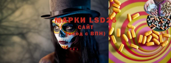 индика Костерёво