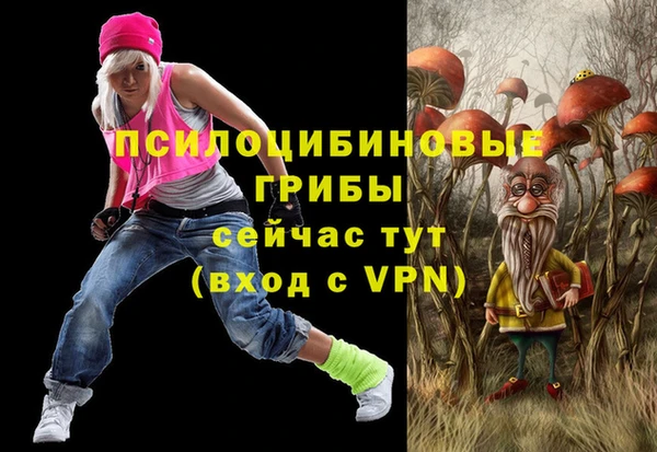 ALPHA PVP Коряжма