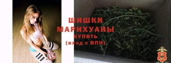 тгк Краснослободск