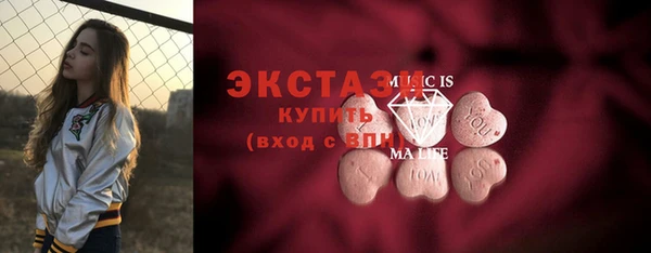 индика Костерёво