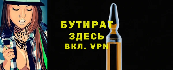 индика Костерёво