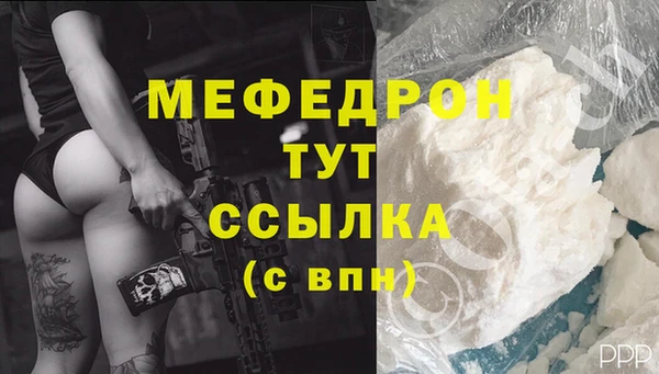 индика Костерёво