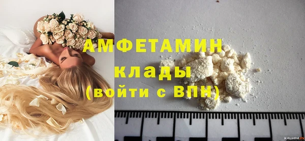 индика Костерёво