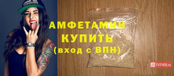 индика Костерёво