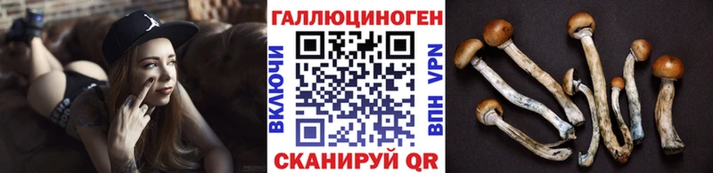 Галлюциногенные грибы мухоморы  Купить закладки  Ладушкин 
